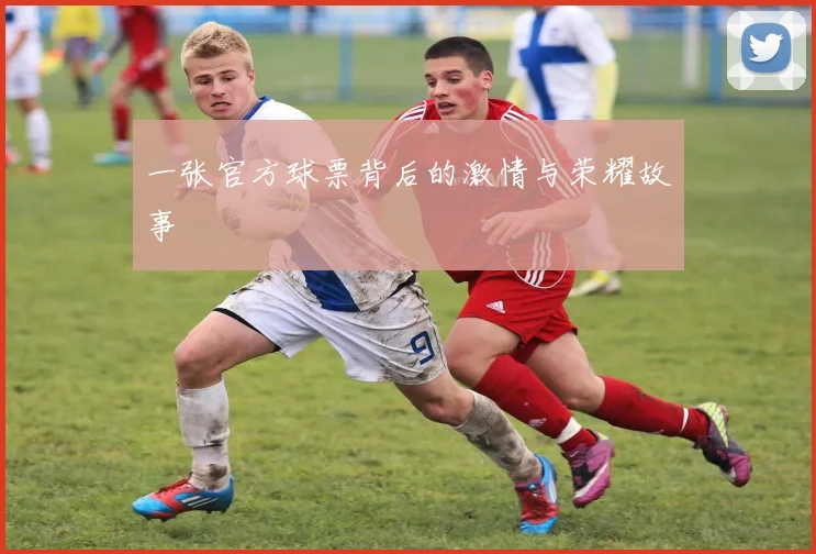 一张官方球票背后的激情与荣耀故事