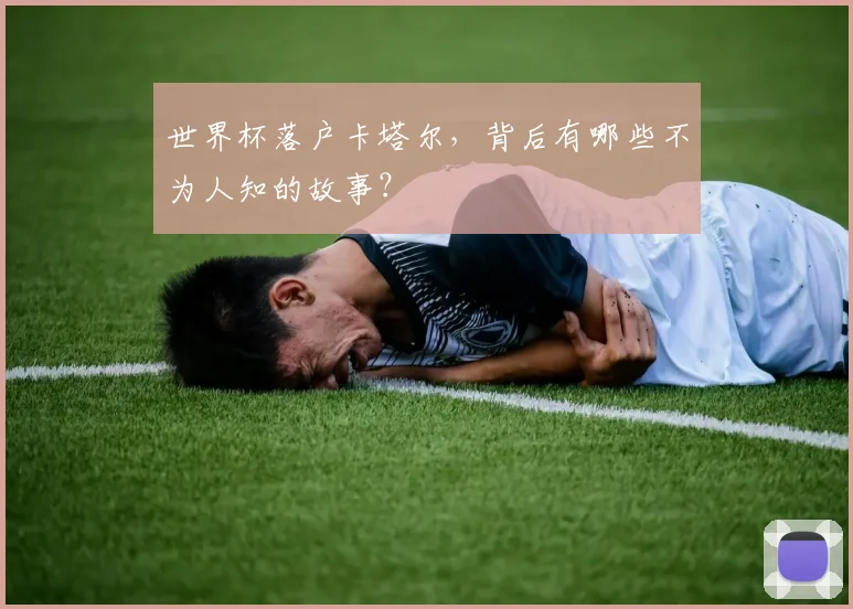 世界杯落户卡塔尔,背后有哪些不为人知的故事?