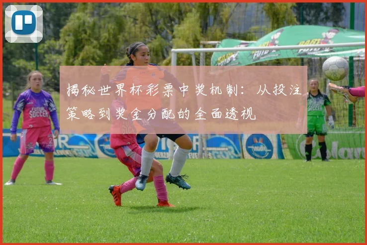 揭秘世界杯彩票中奖机制：从投注策略到奖金分配的全面透视