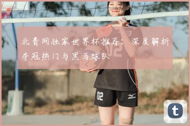 北青网独家世界杯推荐:深度解析夺冠热门与黑马球队