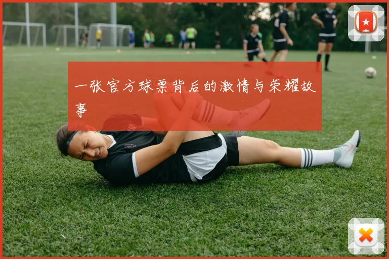 一张官方球票背后的激情与荣耀故事