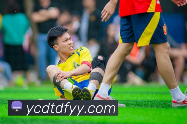 App Interface Preview