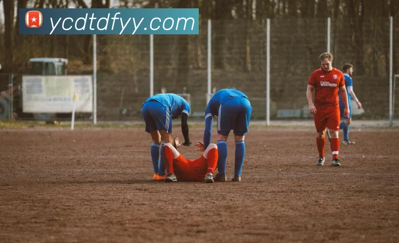 完美体育首页官网APP 封面图